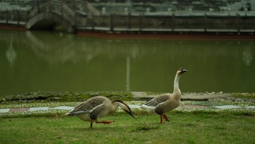 36673055-09EB-4F82-A3BE-5E3782CD9B5A/L0/001