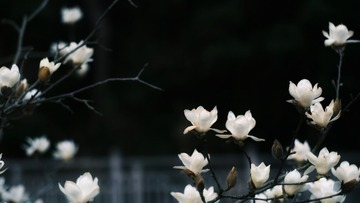 45344A4C-034D-47E3-987C-20342178FA15/L0/001
