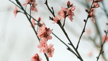146E0421-76EF-40D0-AE34-B847D60DCE58/L0/001