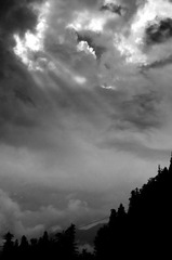 DSC_4637.jpg