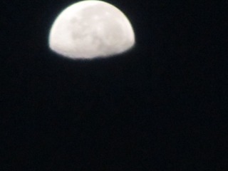 1176120