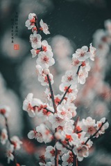 121041
