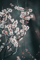 121042