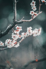 121046