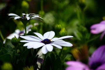 DSC09344.jpg