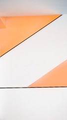 1000005017