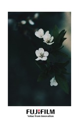 8C5D0ED5-3D4B-4B49-826E-8AC034770117/L0/001