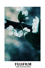 F82371BD-E942-42CD-A132-F1FB0015EF40/L0/001