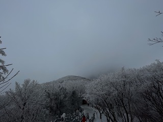 7A6E224A-54F9-4EEB-BA62-E982F44F88A8/L0/001