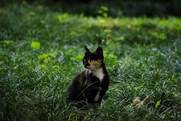 _IGP9781.JPG