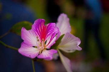 _IGP5270.jpg