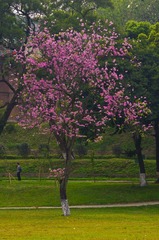 _IGP5221.jpg