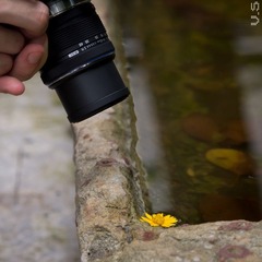_IGP5800.jpg