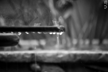 _IGP5908.jpg