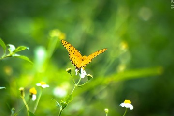 _IGP7659.jpg