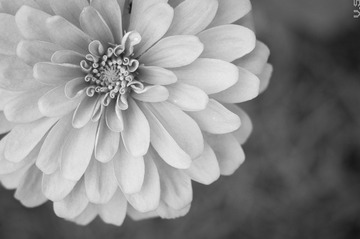 _IGP8038.jpg