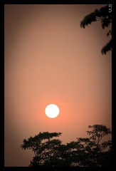 _IGP8495_nEO_IMG.jpg