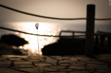 _IGP9405.jpg