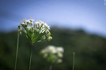 _IGP9368.jpg