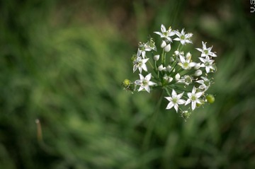 _IGP9369.jpg