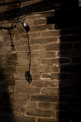 _IGP0096.jpg