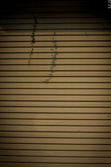 _IGP0153.jpg