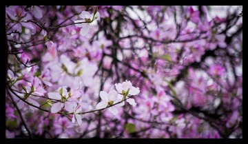 _IGP4249_nEO_IMG.jpg
