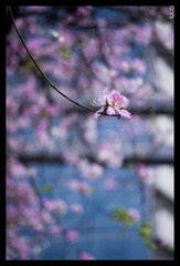 _IGP4220_nEO_IMG.jpg
