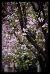 _IGP4193_nEO_IMG.jpg