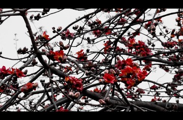 _IGP4273_nEO_IMG_nEO_IMG.jpg
