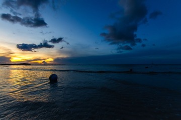 _IGP1459