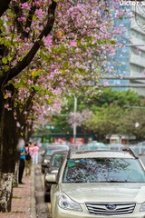 _DSC2413