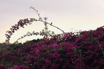 A6D26FE6-EEDE-49C7-A2BF-9274453C65D0/L0/001