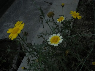 9858E93E-492C-4759-BD9E-A72AB620B0F7/L0/001