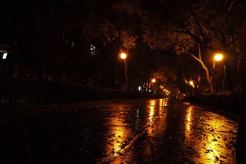 P1000570.JPG