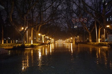 P1000591.JPG