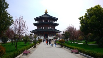 P1010240.JPG