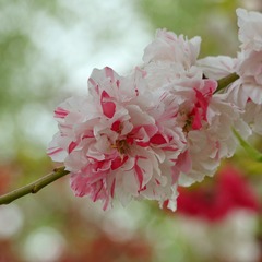 F643D686-4F92-439B-B572-A10926650D8D/L0/001