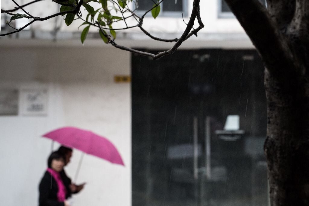 每次出行都有雨水伴随，我也渐渐熟悉了雨天不打伞的感觉，任由雨水打在身上，看行人来去匆匆