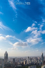 DSC_2594-编辑-编辑-编辑-1.jpg