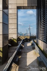 DSC_2546-编辑-编辑-编辑-1.jpg