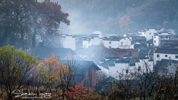DSC_4415-编辑-编辑-编辑-1