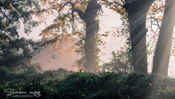 DSC_4507-编辑-编辑-编辑-1