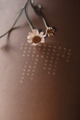 A7466205-A814-48BF-93D5-339B594BCA74/L0/001