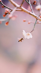 D85963DF-4E02-4F12-B991-9219C3C17F52/L0/001