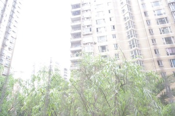 WANG5207.JPG