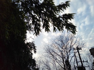 2880757