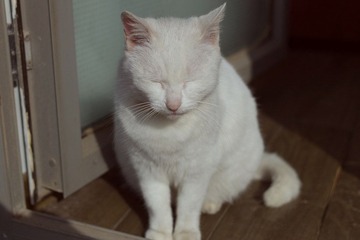 L1000053.jpg