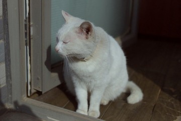 L1000054.jpg