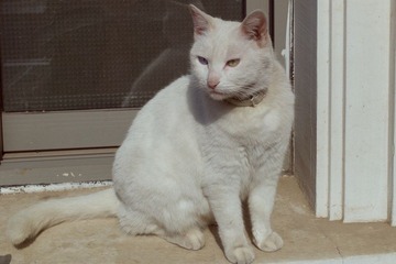 L1000059.jpg
